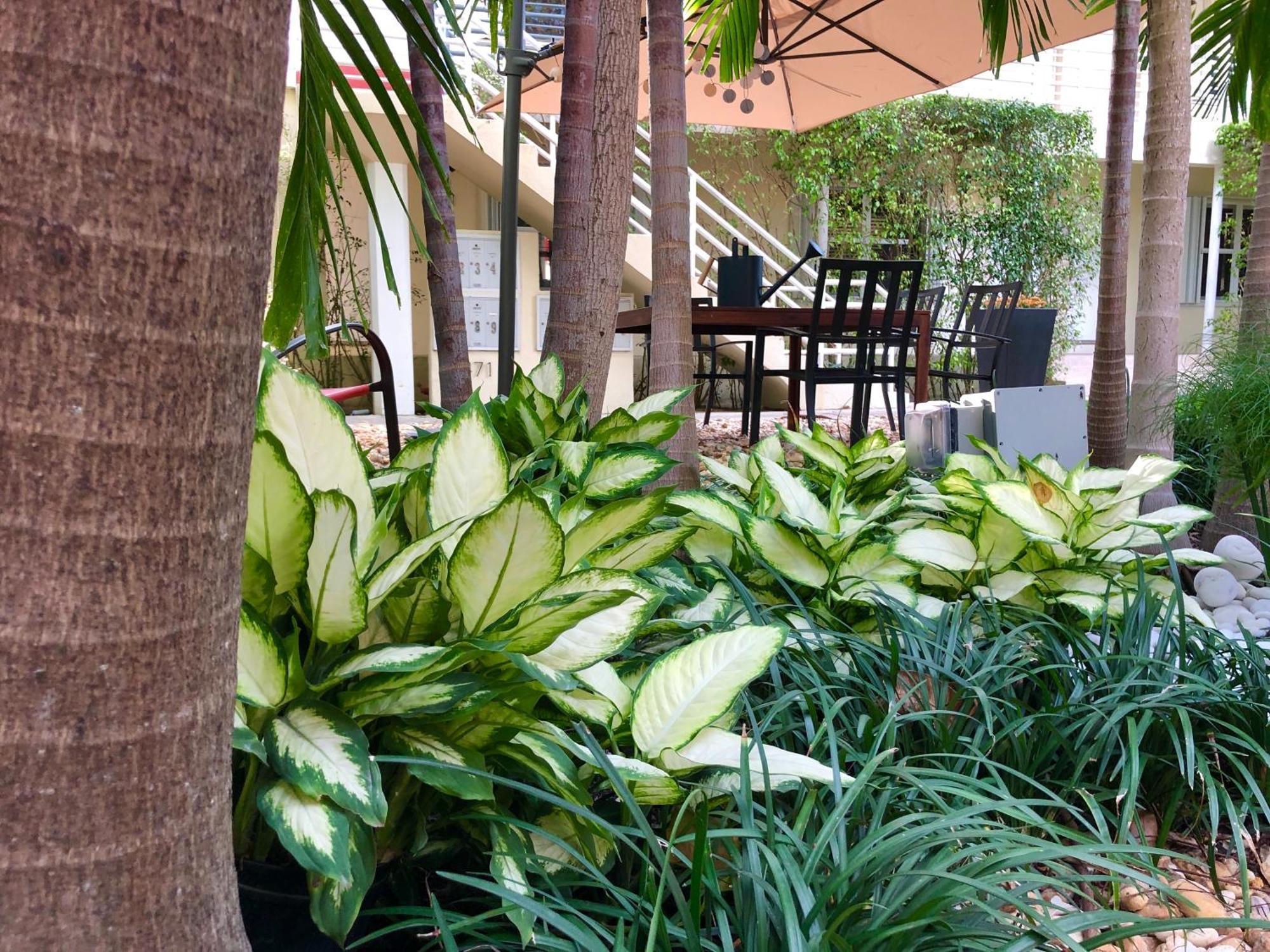 The Oasis Apartment Miami Exterior photo